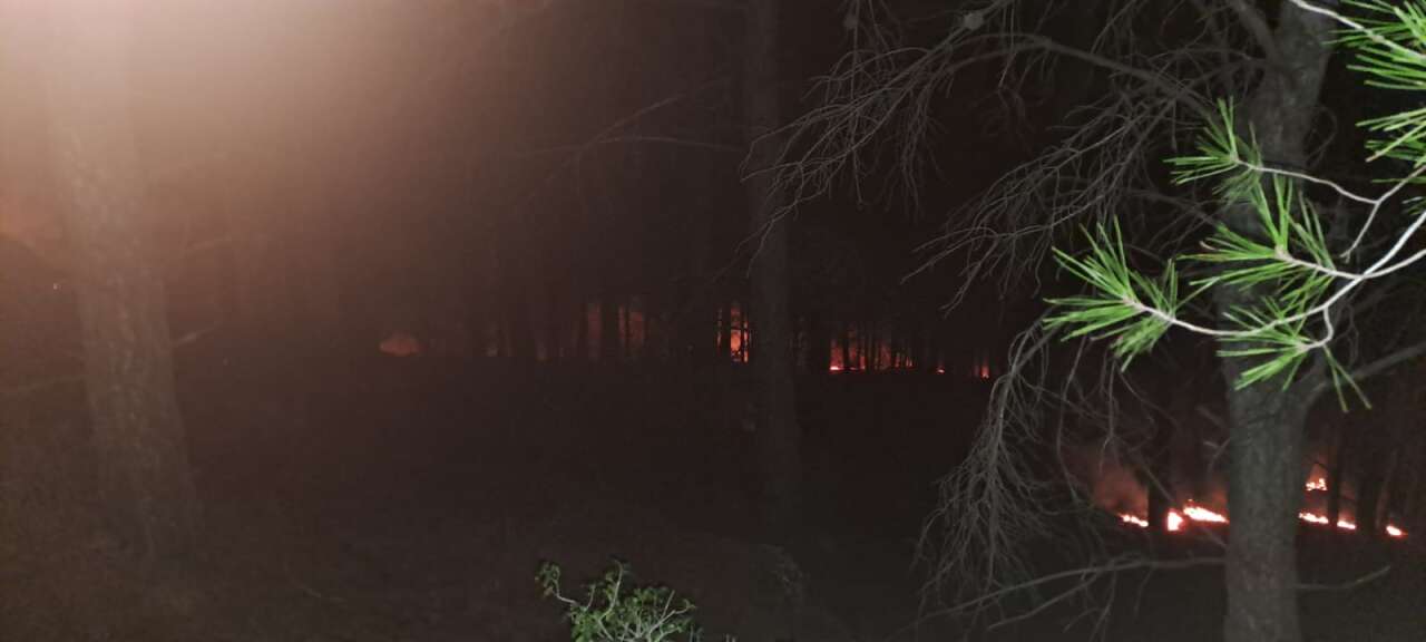 Milas'ta Orman Ekipleri Alevlere Geçit Vermedi 2